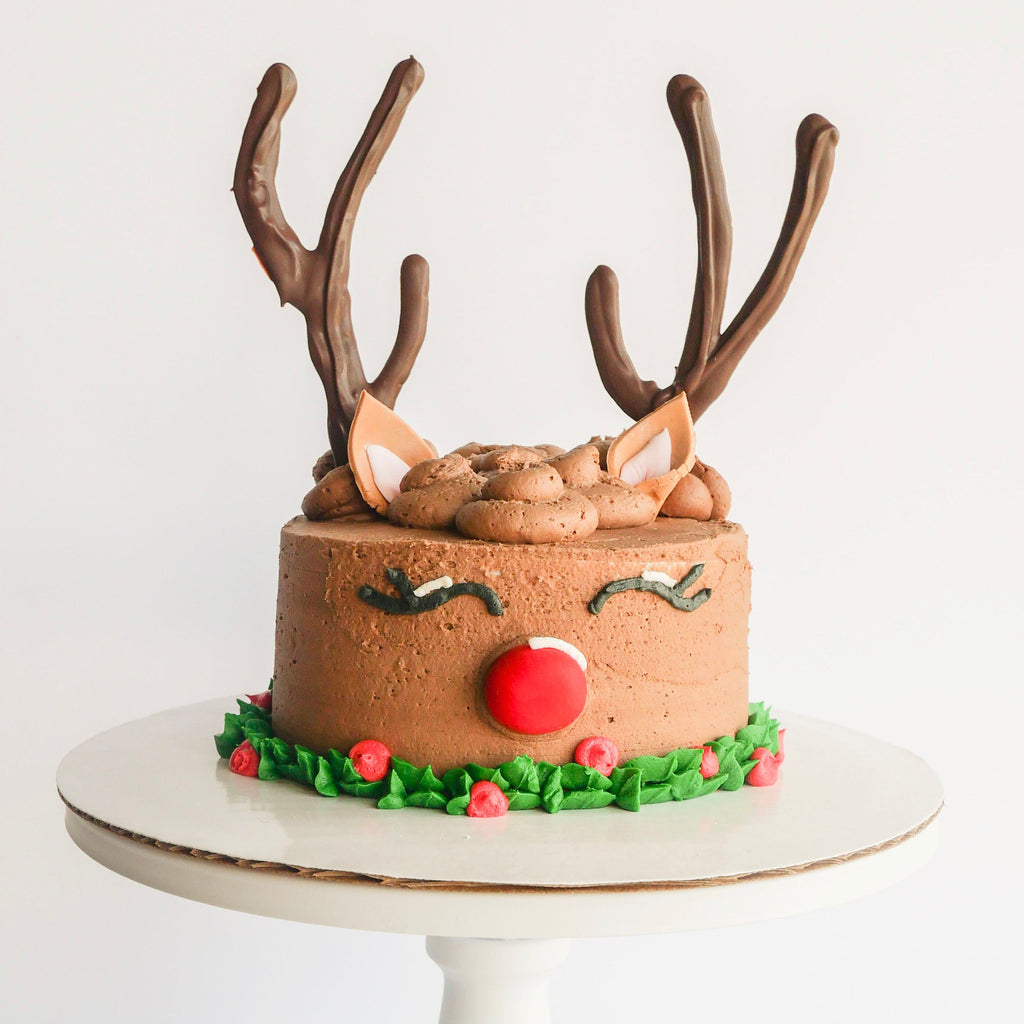 Rudolph cake decorating kit